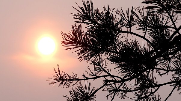 Free Sun Sunset photo and picture