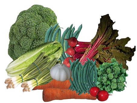 Free Vegetables Vegetable Garden photo and picture