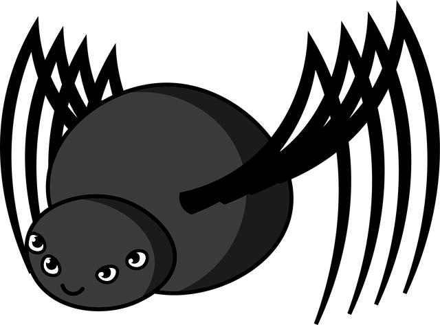 Free friendly spider spider black illustration