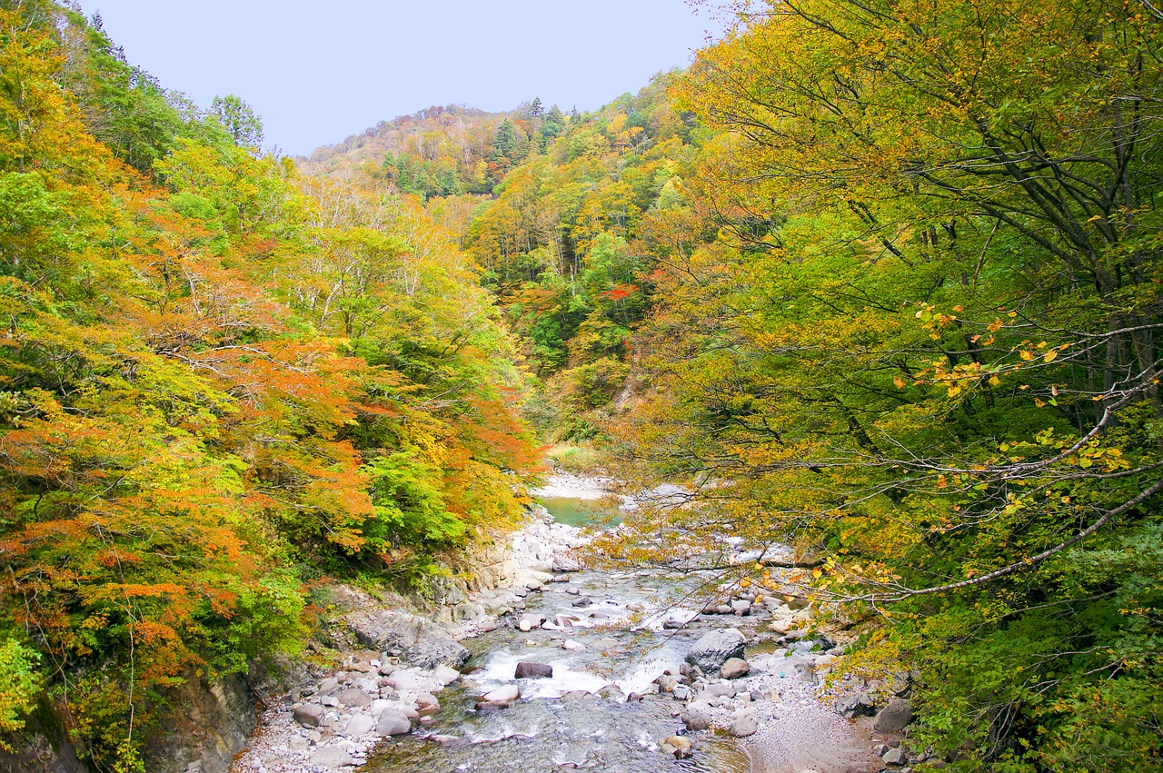 Japan - free online jigsaw puzzle photo