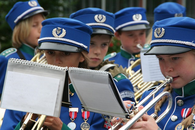 Free Music Corps Constitution Day photo and picture