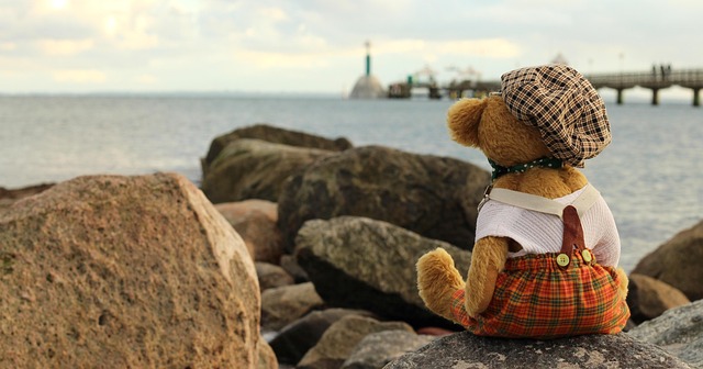 Teddy, Teddybär, Plüschtier, Stofftier