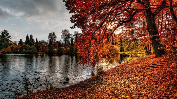 Falle, Sol, Natur, Dam, Vann