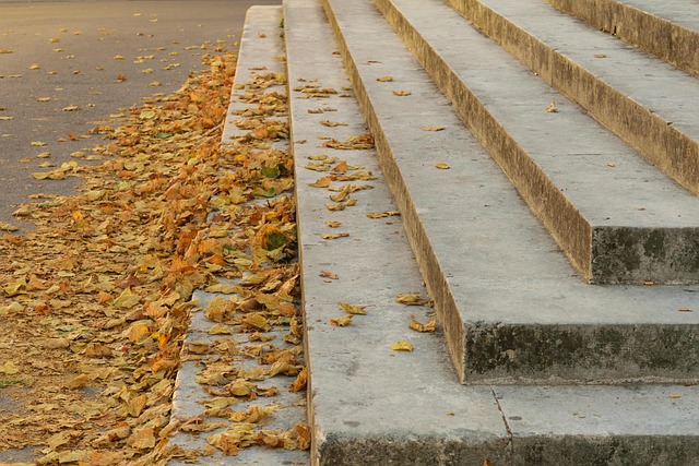 Free Market Steps photo and picture