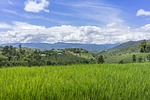 land, farm, forest
