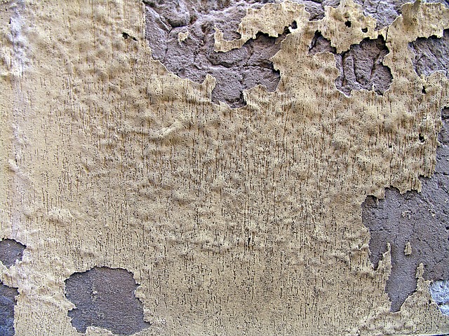 Free Background Wall photo and picture