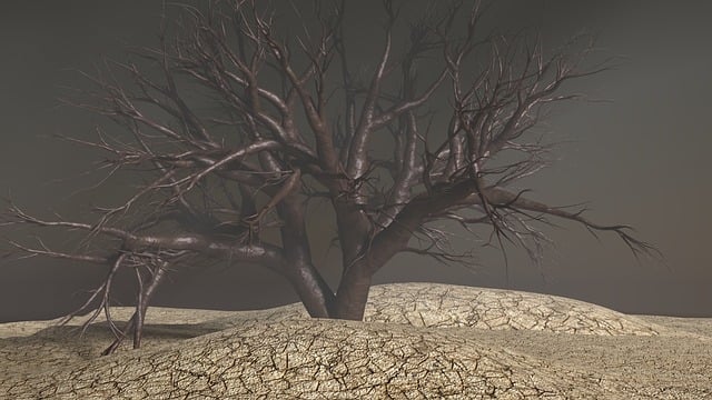 Free tree mystic landscape illustration