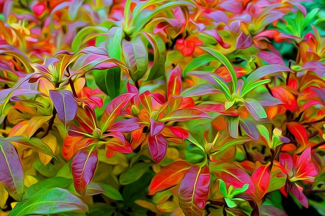 Cair, Folhas De Outono, Cores, Lâmina