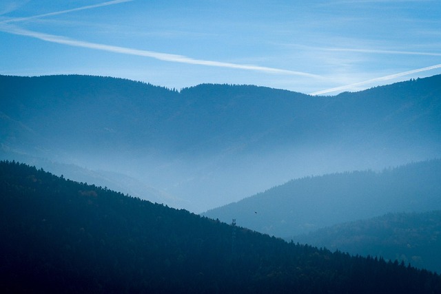 Free Black Forest Mountains photo and picture