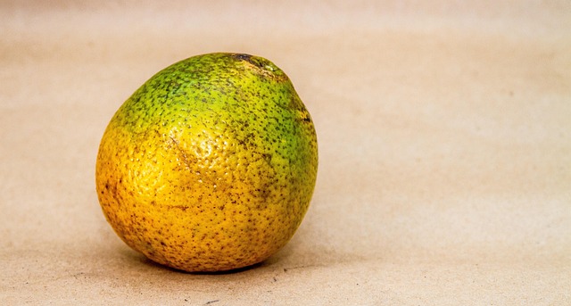 Free Fruit Oranges photo and picture