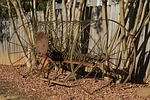 antique hay baler, hay baler, antique