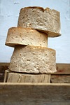 goat, milk product, cheese