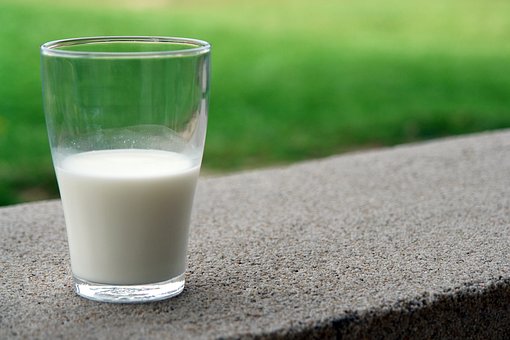 Drink, White, Latte, Capra