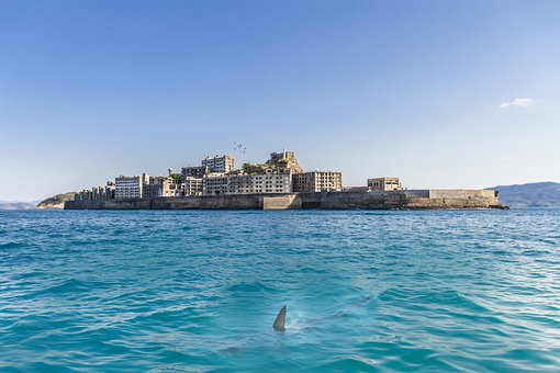 Alcatraz, Natur, Haj, Japan, Forladt