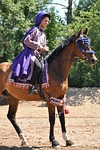 horse, animals, show
