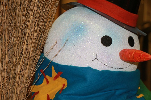 Free Christmas Carrot photo and picture