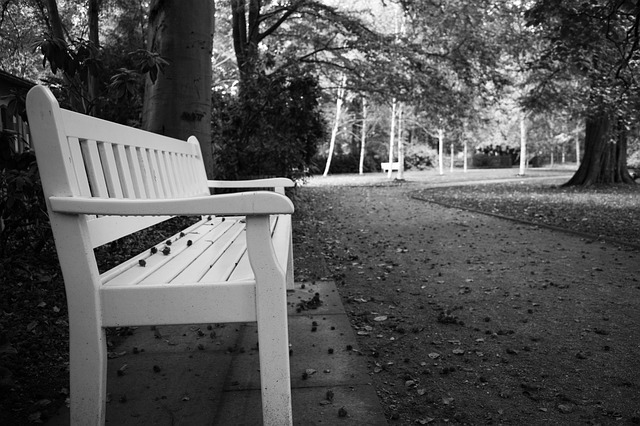 Free Park Bench Black-And-White photo and picture