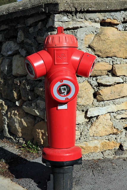 Free Fire Hydrant Urban Furniture photo and picture