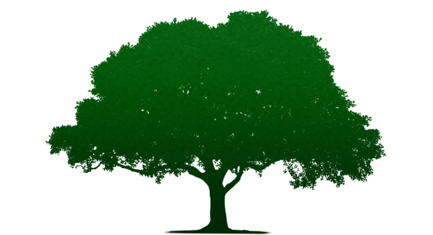 Free Tree Minimal illustration and picture