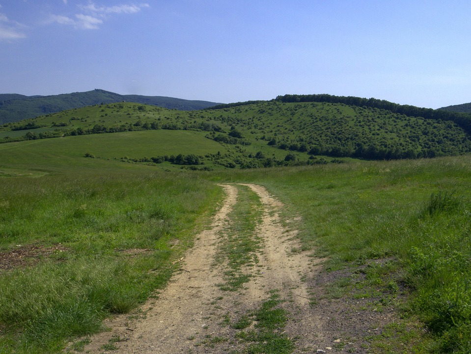 Dirt Road Meadow Country - Free photo on Pixabay - Pixabay
