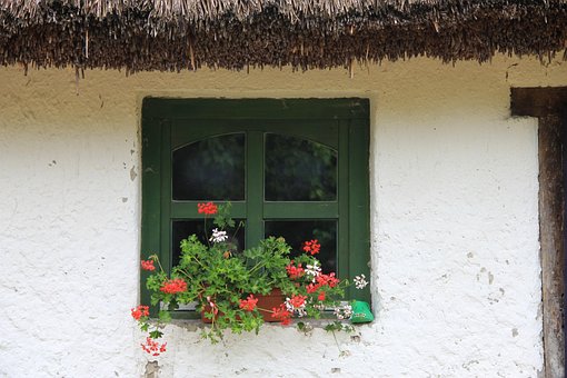 Free Window Thatch photo and picture