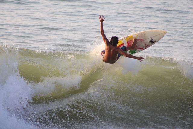 Free Surf Beach photo and picture