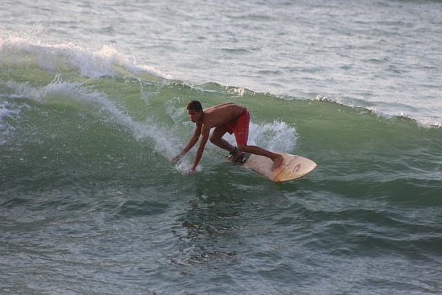 Free Surf Beach photo and picture