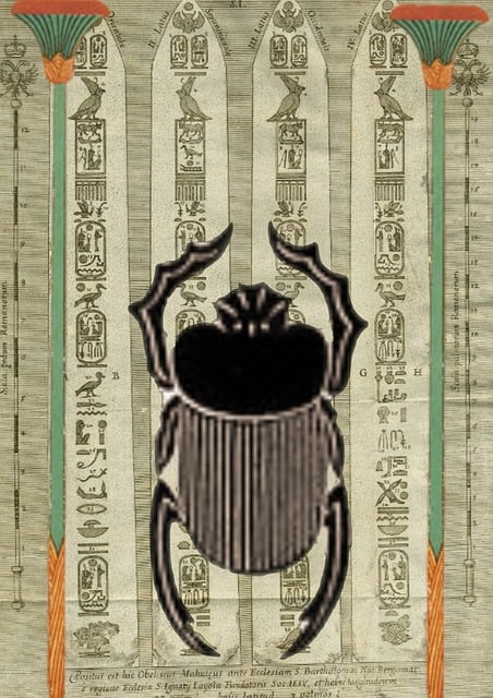 Free egyptian design beetle illustration
