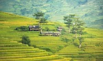 golf club, the village, agriculture