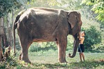 kids, africa, animals