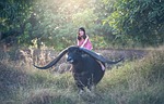 buffalo, girl, seat