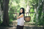 countryside, basket, asia