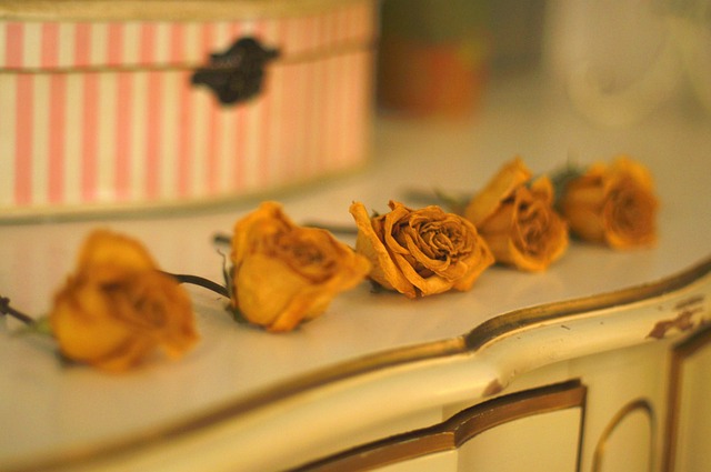 Free Yelllow Flower photo and picture