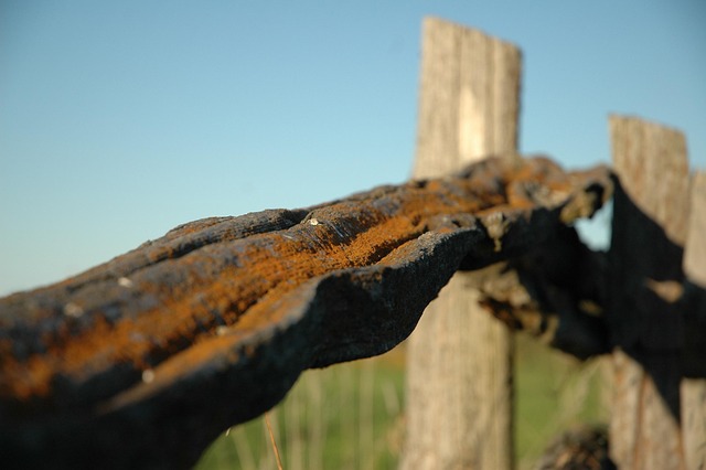 Free Fence Rust photo and picture