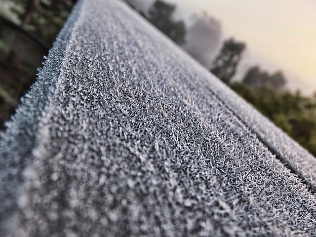 Free Ice Frost photo and picture