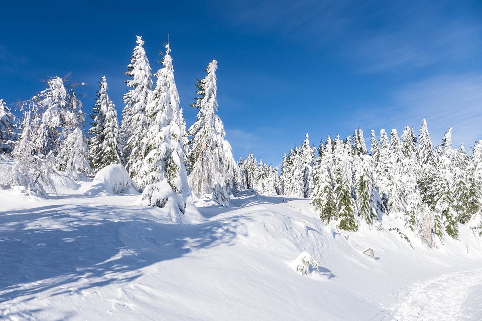 Winter Snow December Free Photo On Pixabay