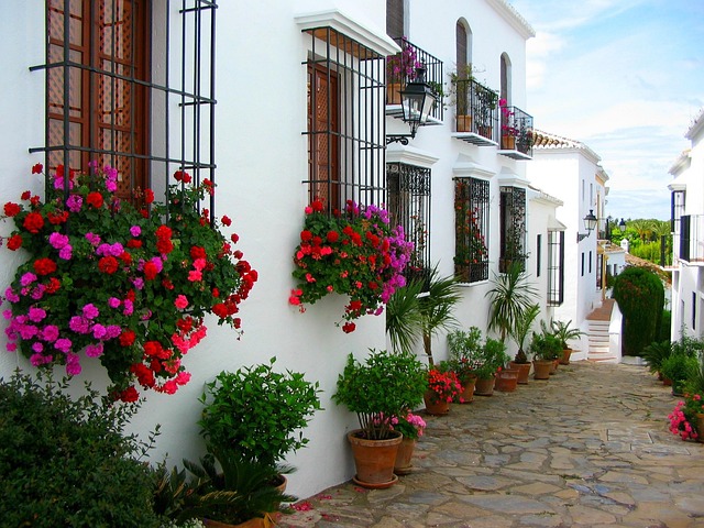 Free Marbella House photo and picture