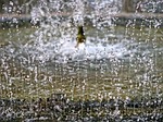 fountain, drop, droplet