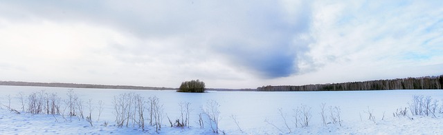 Felt, Sne, Vinter, Rusland, Hvid, Kold