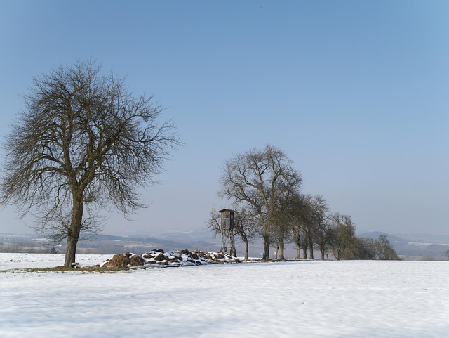 Free Winter Mood photo and picture