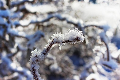 Free Winter Ice Cream photo and picture