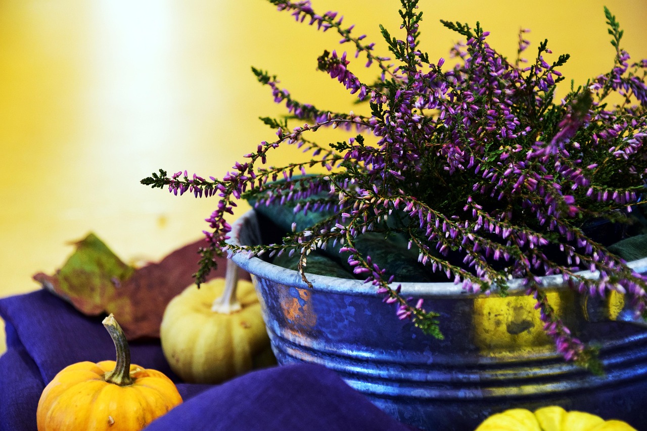 Erika - free online jigsaw puzzle photo