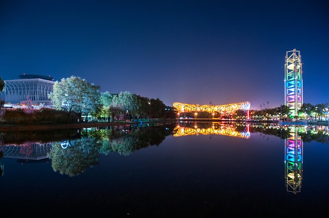 Free Bird'S Nest Reflection photo and picture