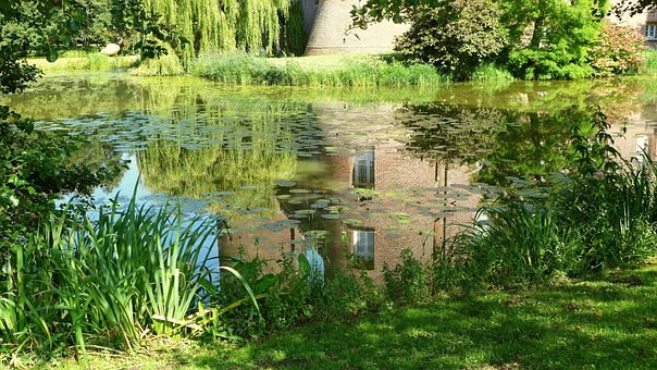 Wasserschloss, Burggraben, Natur