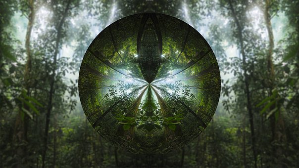 Free Tree Circle illustration and picture