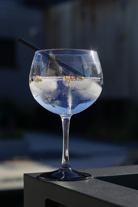 Coctail, Gin Tonic, Summer, Party