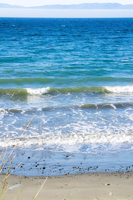 Free Waves Sand photo and picture