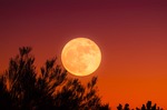 harvest moon, full moon, sky