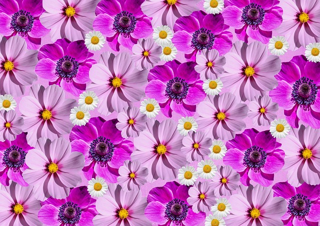 Free flower blossoms nature illustration