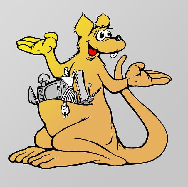 Känguru, Arbeit, Baustelle, Werkzeug